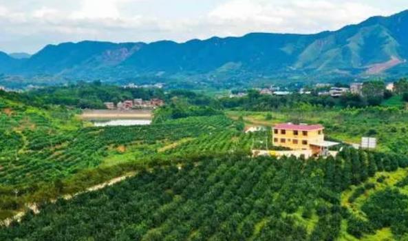 住陜?nèi)珖f(xié)委員：加強地理標(biāo)志農(nóng)產(chǎn)品保護 推進鄉(xiāng)村產(chǎn)業(yè)振興