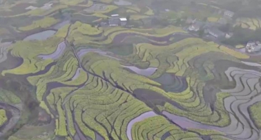 漢陰“鳳堰梯田”入選世界灌溉工程遺產(chǎn)名錄