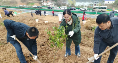 春回大地萬物蘇 植樹添綠正當(dāng)時——安康市漢濱區(qū)水利局積極組織參加義務(wù)植樹